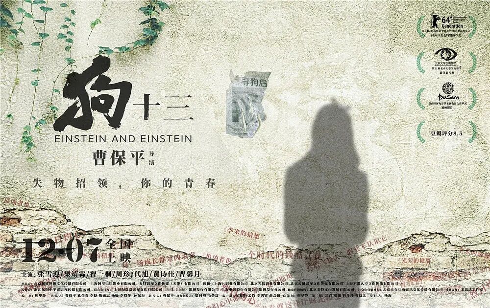 『电影推荐』狗十三(2013)-旧人软件阁